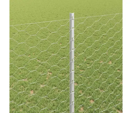 Aed Ja Post Hõbedane 1,5 X 50 M Teras