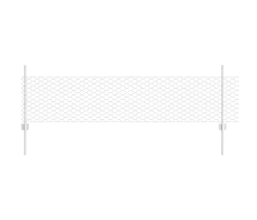 Aed Koos Postiga Hõbedane 0,5 X 100 M Teras