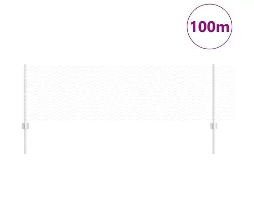 Aed Koos Postidega Hõbedane 0.6 X 100 M Teras