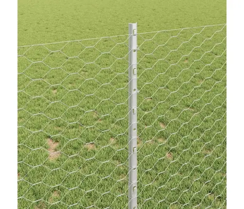 Tvora Ir Stulpas Sidabro 1 X 100 M Plienas