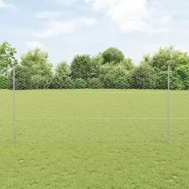 Žogs Ar Stabiem. Sudraba 1.5 X 100 M Tērauds Vidaxl