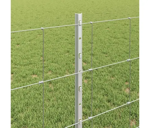 Aed Koos Postidega Hõbedane 0.8 X 25 M Teras