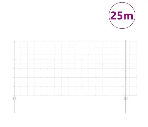 Aed Koos Postidega Hõbedane 1.2 X 25 M Teras