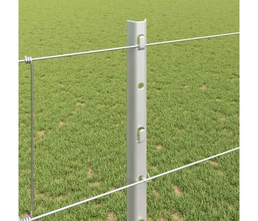 Aed Koos Postidega Hõbedane 1.2 X 25 M Teras