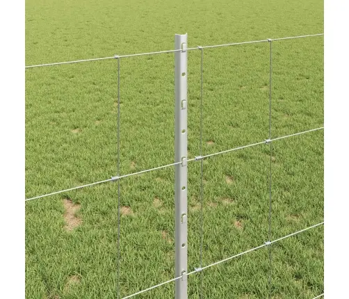 Aed Koos Postiga Hõbedane 1 X 50 M Teras