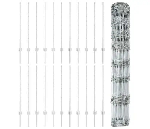 Aed Koos Postiga Hõbedane 1 X 50 M Teras