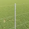 Aed Koos Postidega Hõbedane 1 X 50 M Teras