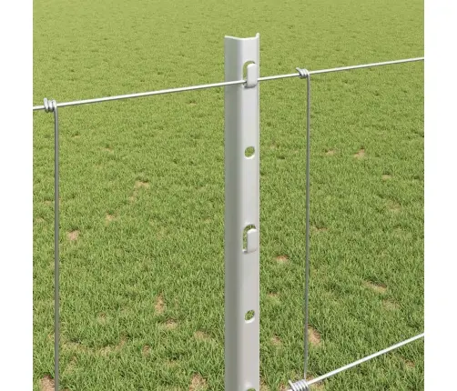 Aed Koos Postiga Hõbedane 1,2 X 50 M Teras