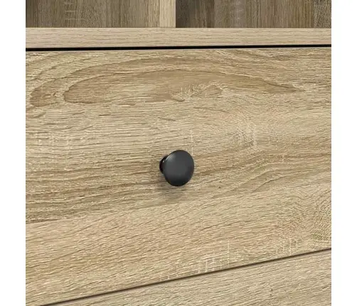 Laud Koos Hoiuruumiga 2 Pcs Sonoma Tamm 100 X 50 X 76 Cm