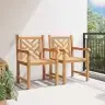 Sodo Kėdės 2 Pcs Ruda 58 X 60 X 90 Cm Tikmedžio Masyvas