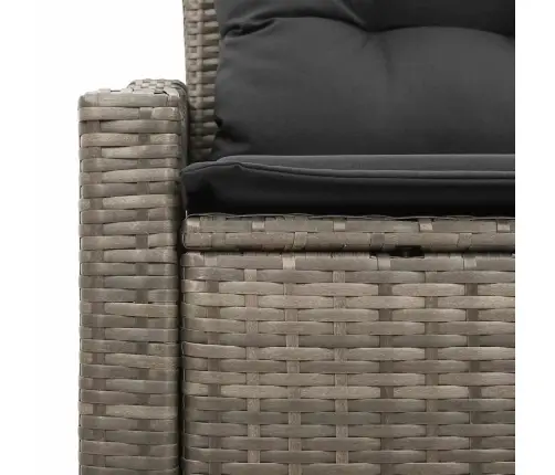 2-Sēdvietu Dārzā Dīvāns Ar Uzglabāšanu Un Spilveniem Pelēkā Poliratanā Vidaxl