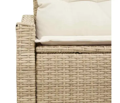 2-Sēdvietu Dārzā Dīvāns Ar Uzglabāšanu Un Spilveniem, Bēšs, Poliratan Vidaxl