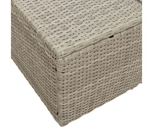 2-Sēdošs Dārza Dīvāns Ar Uzglabāšanu Un Spilveniem Gaiša Poli Strūkla Vidaxl