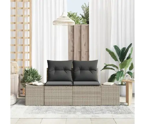 2-Sēdošs Dārza Dīvāns Ar Uzglabāšanu Un Spilveniem Gaiša Poli Strūkla Vidaxl