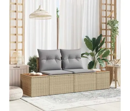 2-Vietīgs Dārzs Dīvāns Ar Spilveniem Bēšs Polietilēna Rotangpalma Vidaxl