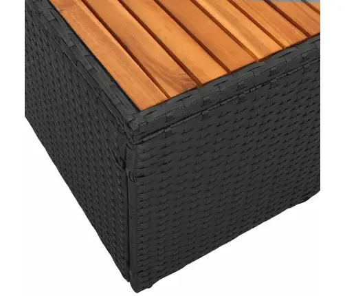 Divvietīgais Dārza Dīvāns Ar Uzglabāšanu Un Spilveniem Melnā Poli Ratanā Vidaxl