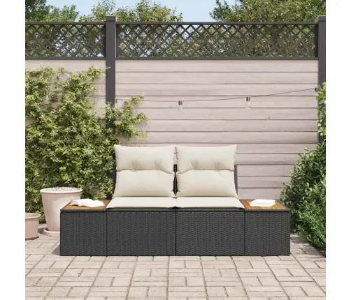 Divvietīgais Dārza Dīvāns Ar Uzglabāšanu Un Spilveniem Melnā Poli Ratanā Vidaxl