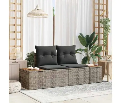 2 Vietīgs Dārgumu Dīvāns Ar Uzglabāšanu Un Spilveniem Pelēkā Poliratanā Vidaxl