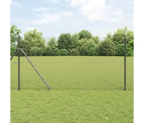 Žogs Pelēka 10 X 1 M Metāls Vidaxl