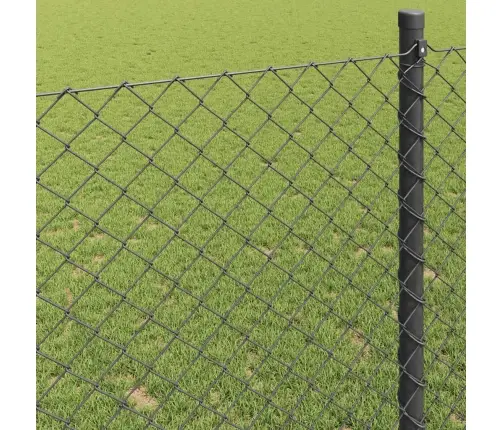 Žogs Pelēka 10 X 1 M Metāls Vidaxl