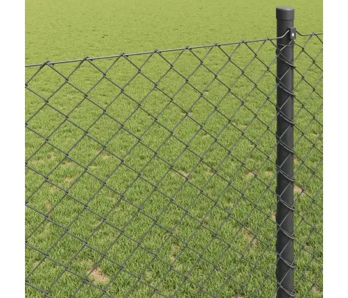 Žogs Pelēka 10 X 1.6 M Tērauds Vidaxl