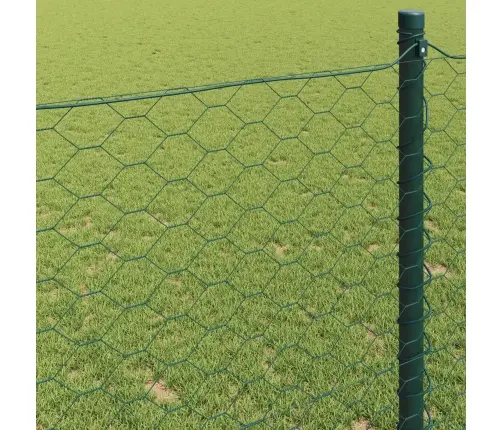 Heksagoninė Tvora Žalia 0,8 X 10 M Pvc