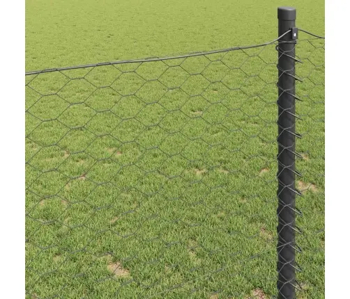 Sešstūra Žogs Pelēka 0.8 X 25 M Tērauds Vidaxl