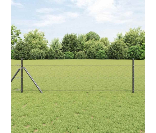Heksagonaalne Tara Hall 1.6 X 50 M Teras
