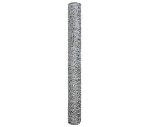 Sešstūra Žogs Sudraba 10000 X 0.05 X 120 Cm Cinkots Tērauds Vidaxl Sešstūra Žogs Sudraba 10000 X 0.05 X 120 Cm Cinkots Tērauds Vidaxl