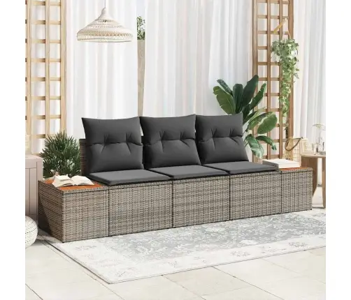 Aia Diivanikomplekt Padjaga 3 Pcs Hall Polürotang