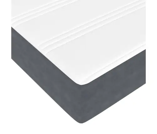 Gultas Rāmis Cits Tumši Pelēka 200 X 200 Cm Samts Vidaxl