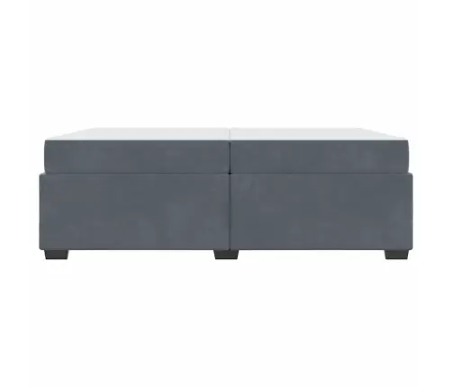 Gultas Rāmis Cits Tumši Pelēka 200 X 200 Cm Samts Vidaxl