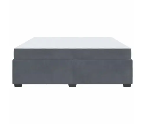 Gultas Rāmis Cits Tumši Pelēka 200 X 200 Cm Samts Vidaxl