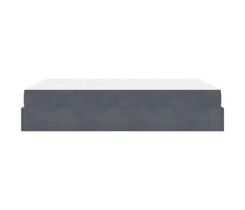 Gultas Rāmis Cits Tumši Pelēka 160 X 200 Cm Samts Vidaxl