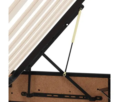 Lova Su Daiktų Laikymo Vieta Ir Čiužiniu 2 Pcs Juoda Oda