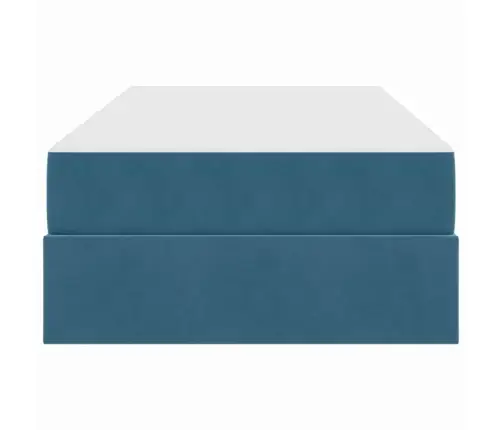 Lova Su Daiktų Laikymo Vieta Ir Čiužiniu Tamsiai Mėlyna