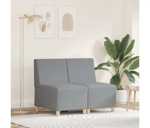 Käetugedeta Mooduldiivani Element 2 Pcs Helehall