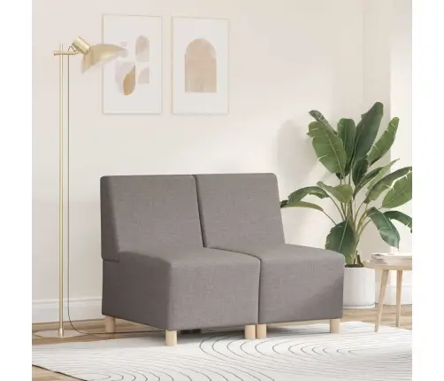 Dīvāna Krēsls Gaišā Pelēkā Krāsā 55 Cm Audums 2 Pcs Pelēkbrūna Vidaxl