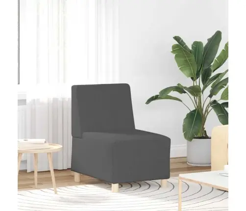 Modulinis Sofa Vienetas Be Rankų 2 Pcs Tamsiai Pilka
