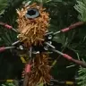 Dirbtinė Sulankstoma Kalėdų Eglutė S Stovu Žalia 240 Cm Dirbtinė Sulankstoma Kalėdų Eglutė S Stovu Žalia 240 Cm