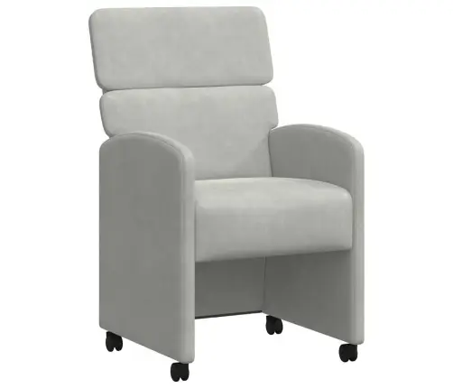 Valgomojo Kėdės Su Ratukais Su Ratais 2 Pcs Šviesiai Pilka