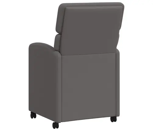 Ratastega Söögi-Toolid 2 Pcs Hall 58 X 65 X 98 Cm Kunstnahk