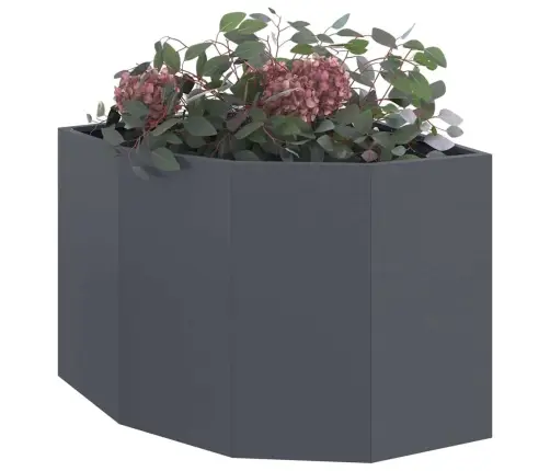 Stūra Stādītājs Antracīts 60 X 60 X 50 Cm Tērauds Vidaxl