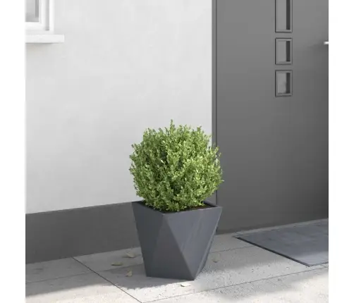 Taimekast Antratsiit 30 X 30 X 30 Cm Teras