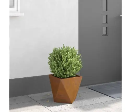 Taimekast Rooste 30 X 30 X 30 Cm Terase Tüüp