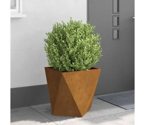 Puķu Kaste 2 Pcs Rūsa 50 X 50 X 50 Cm Novecināts Tērauds Vidaxl