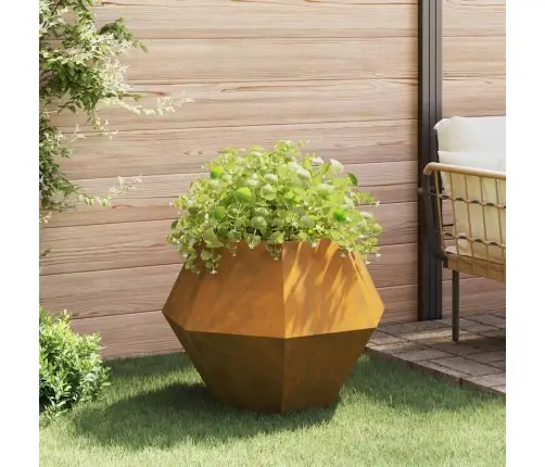 Puķu Kaste 2 Pcs Rūsa 75 X 75 X 60 Cm Novecināts Tērauds Vidaxl