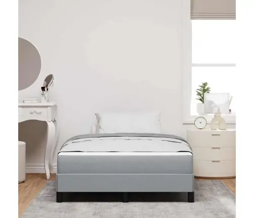 Kastītes Atsperu Gulta Gaiši Pelēka 120 X 200 Cm Audums Vidaxl