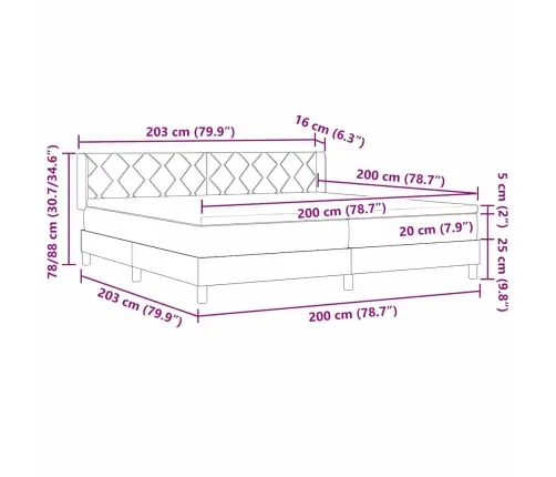 Kastītes Atsperu Gulta Melns Un Balts 200 X 200 Cm Putas Vidaxl