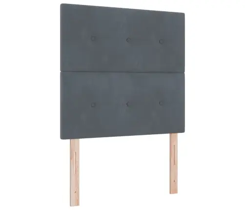 Box Spring Gulta Ar Matrači Tumši Pelēka 80X200 Cm Samts Vidaxl